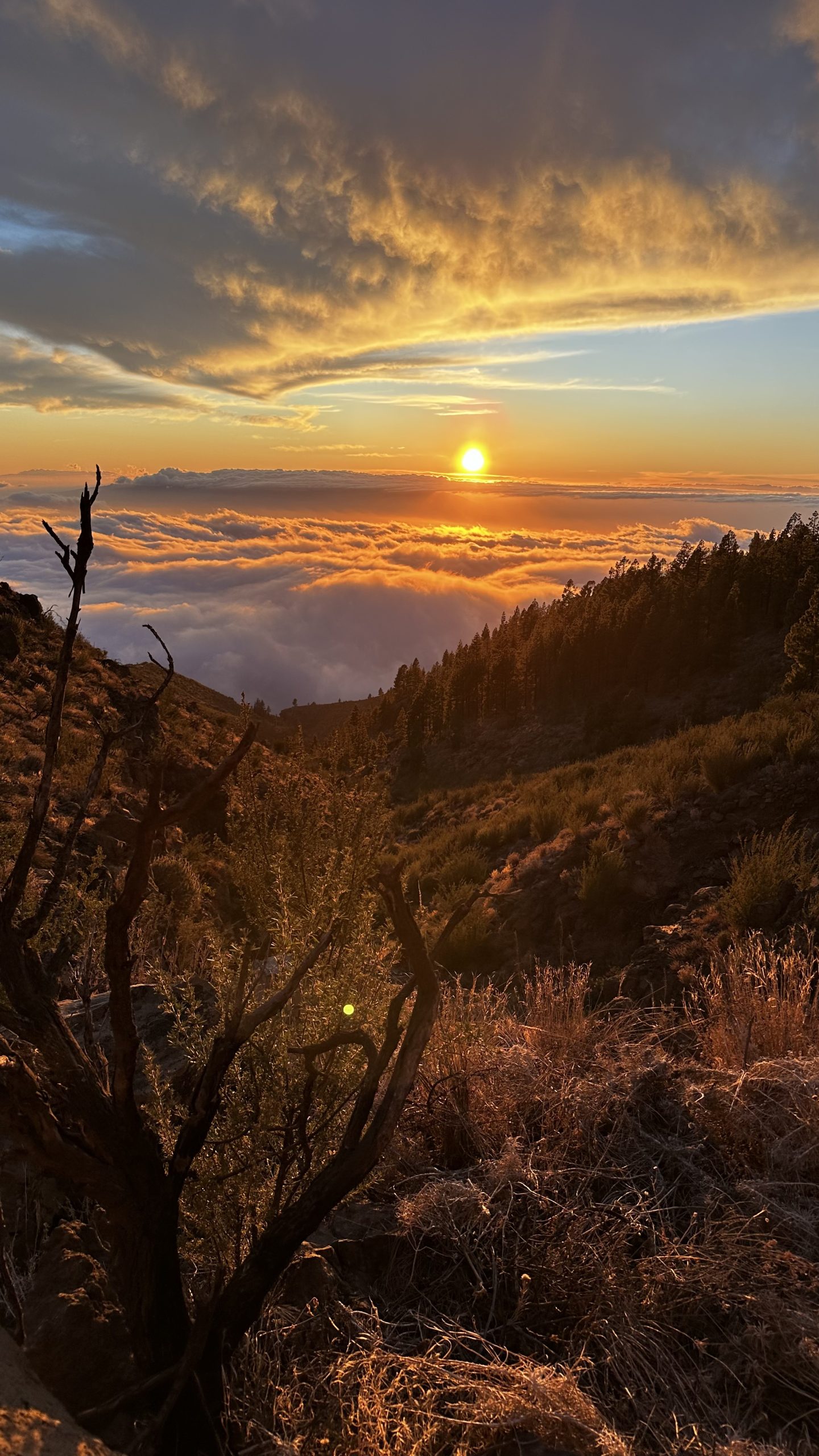 Sunset above the sea of clouds, Tenerife