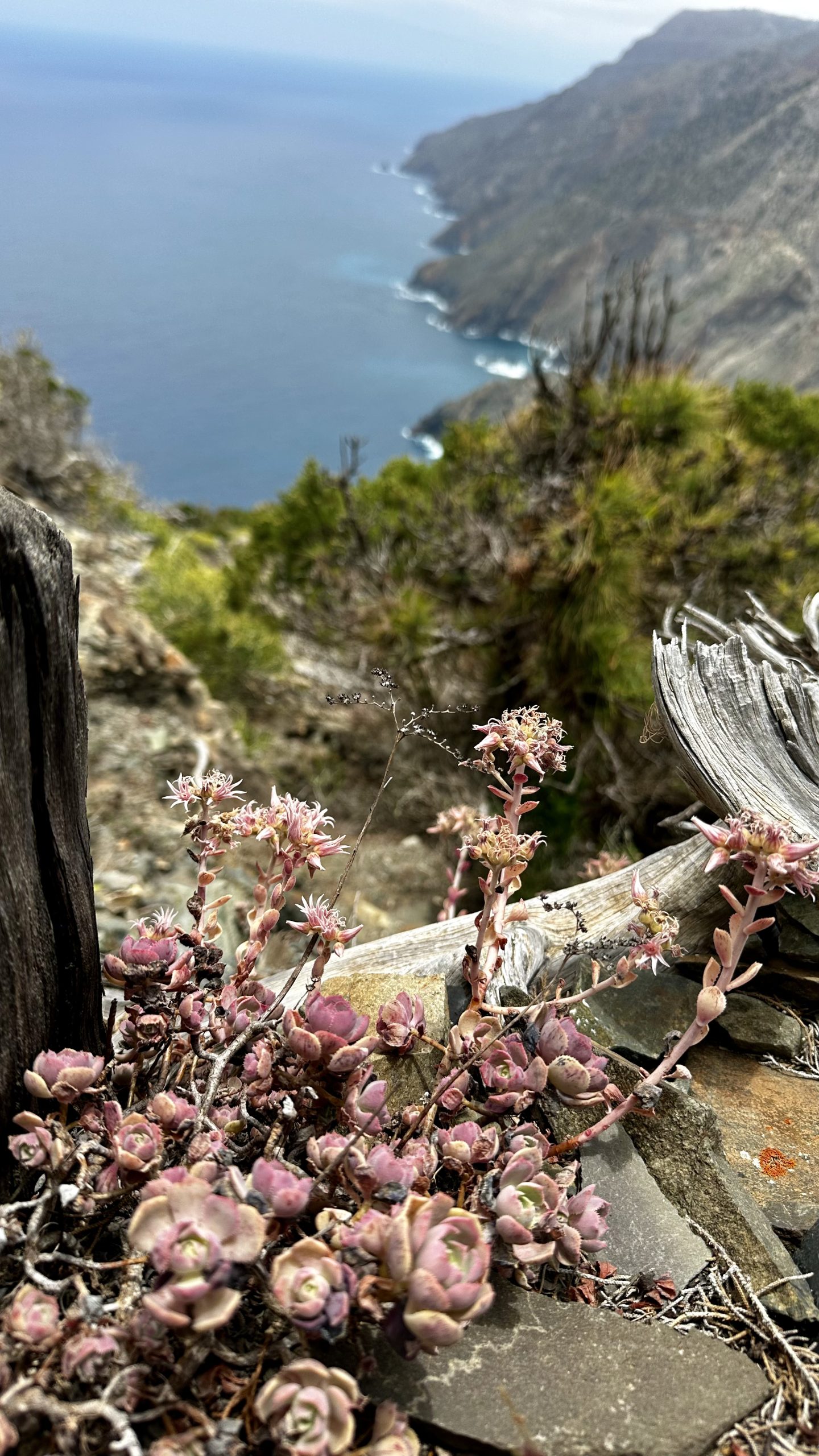 La Gomera coastal ridge