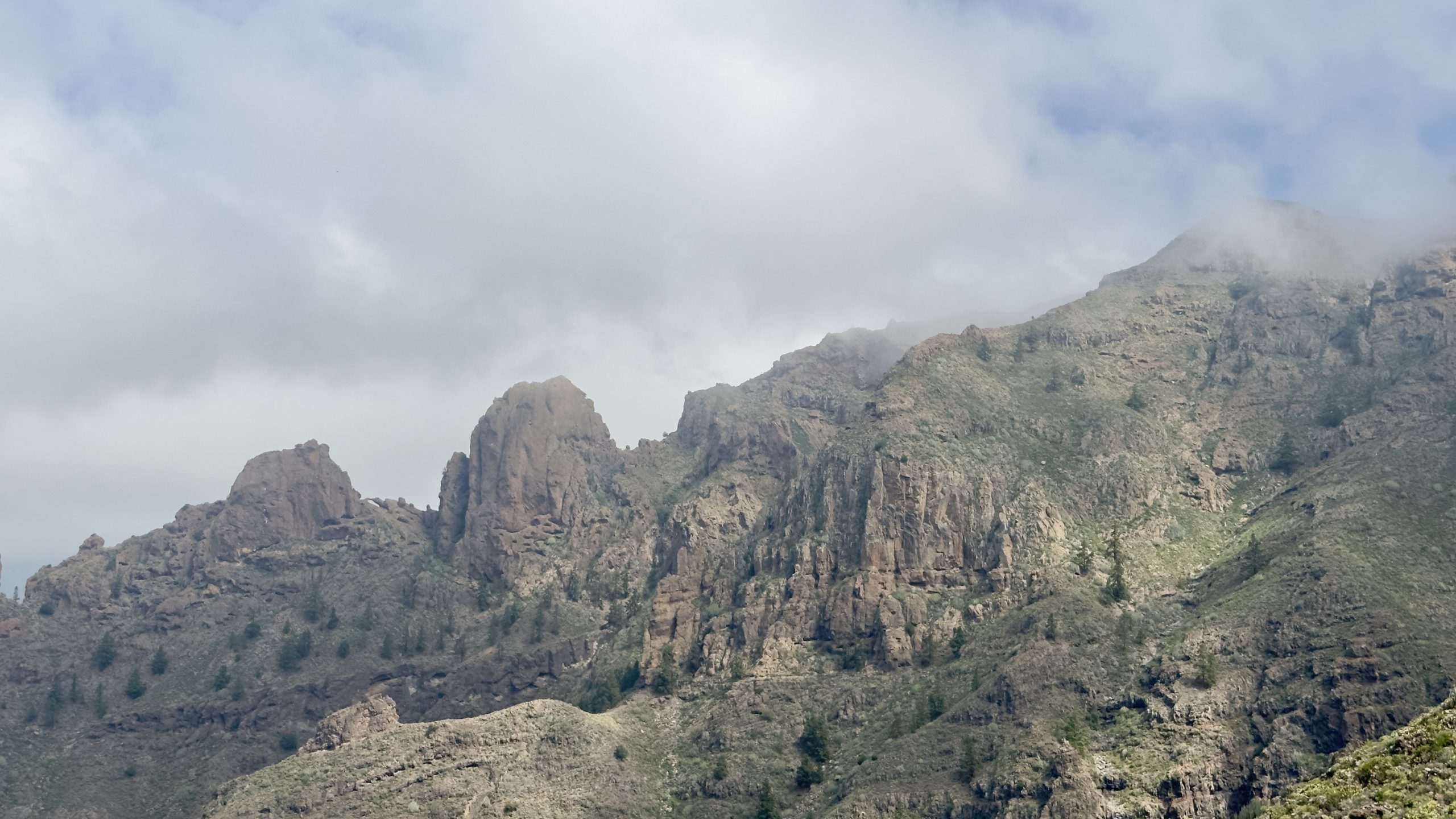 Ifonche pine slopes and barranco