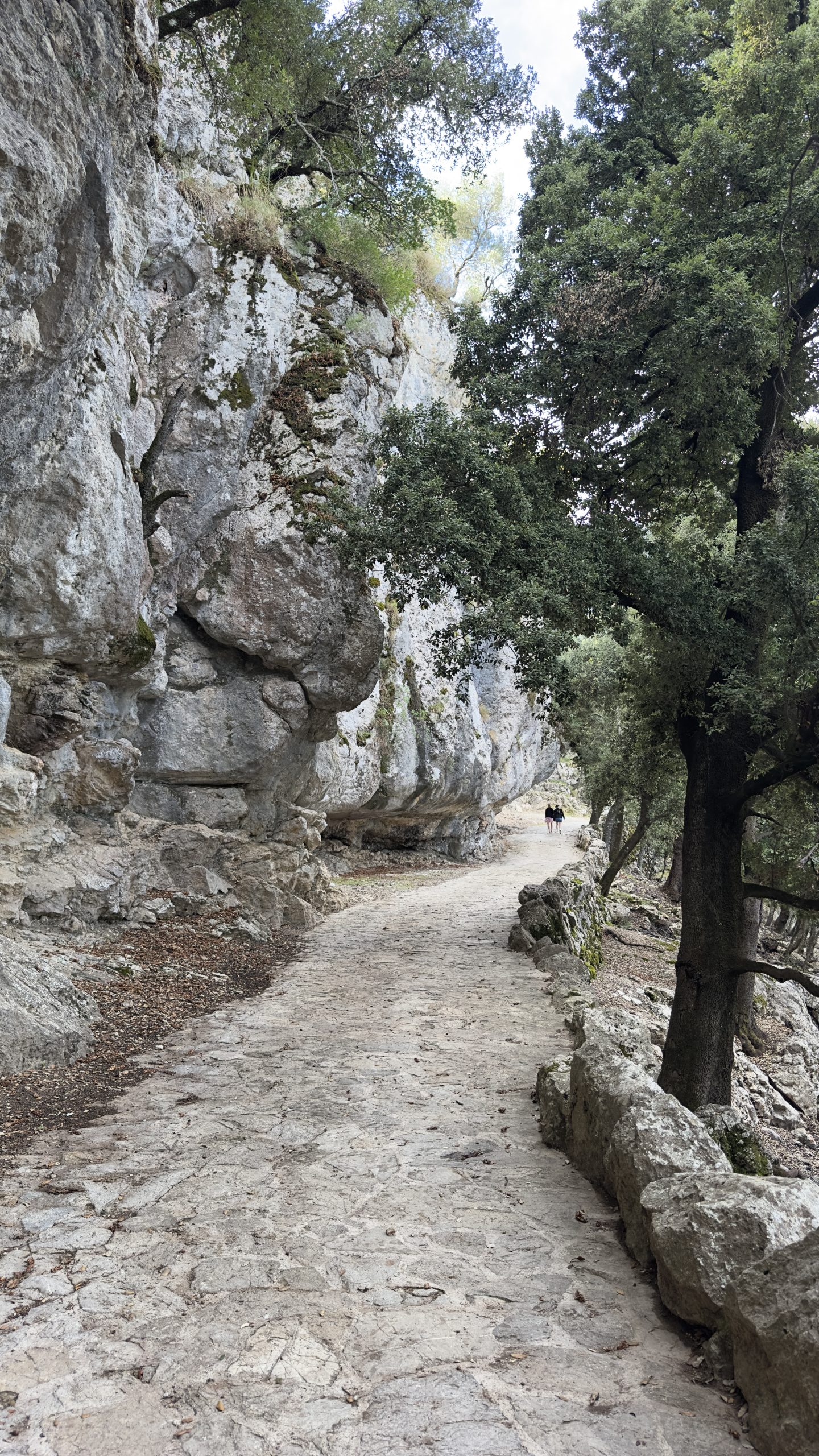 Walking a shaded mountain path