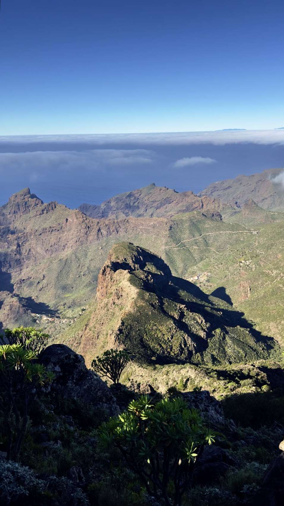 Deep ravines and green ridges of the Teno massif falling towards the Atlantic, seen from a high rocky viewpoint.