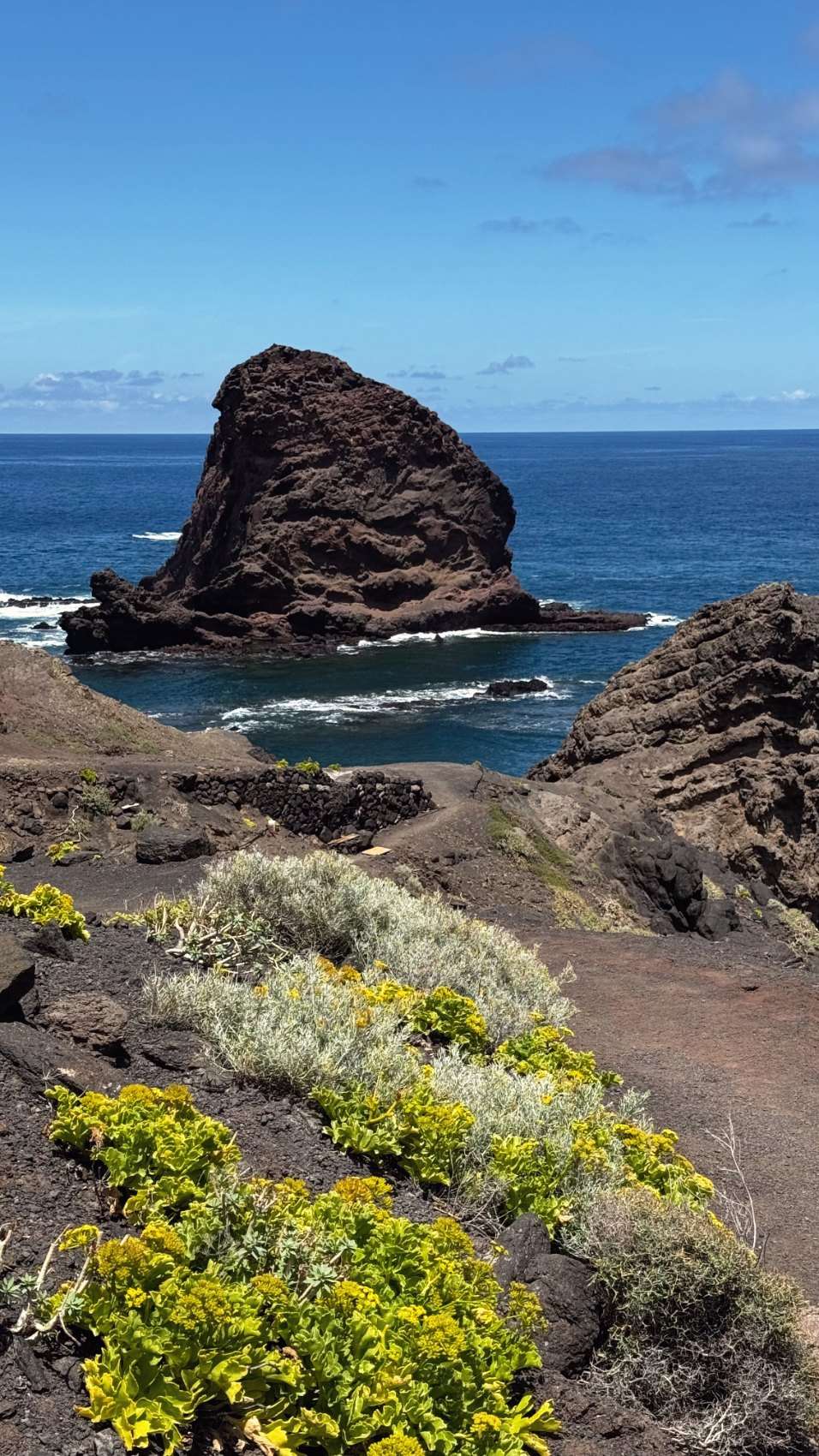 A large sea stack off a dark volcanic shore, with yellow-flowering coastal plants in the foreground.