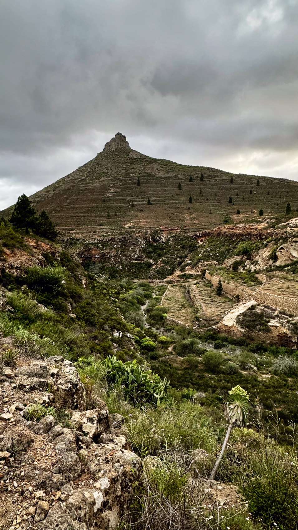 A terraced conical hill with a rocky summit above an overgrown barranco, under heavy grey cloud.