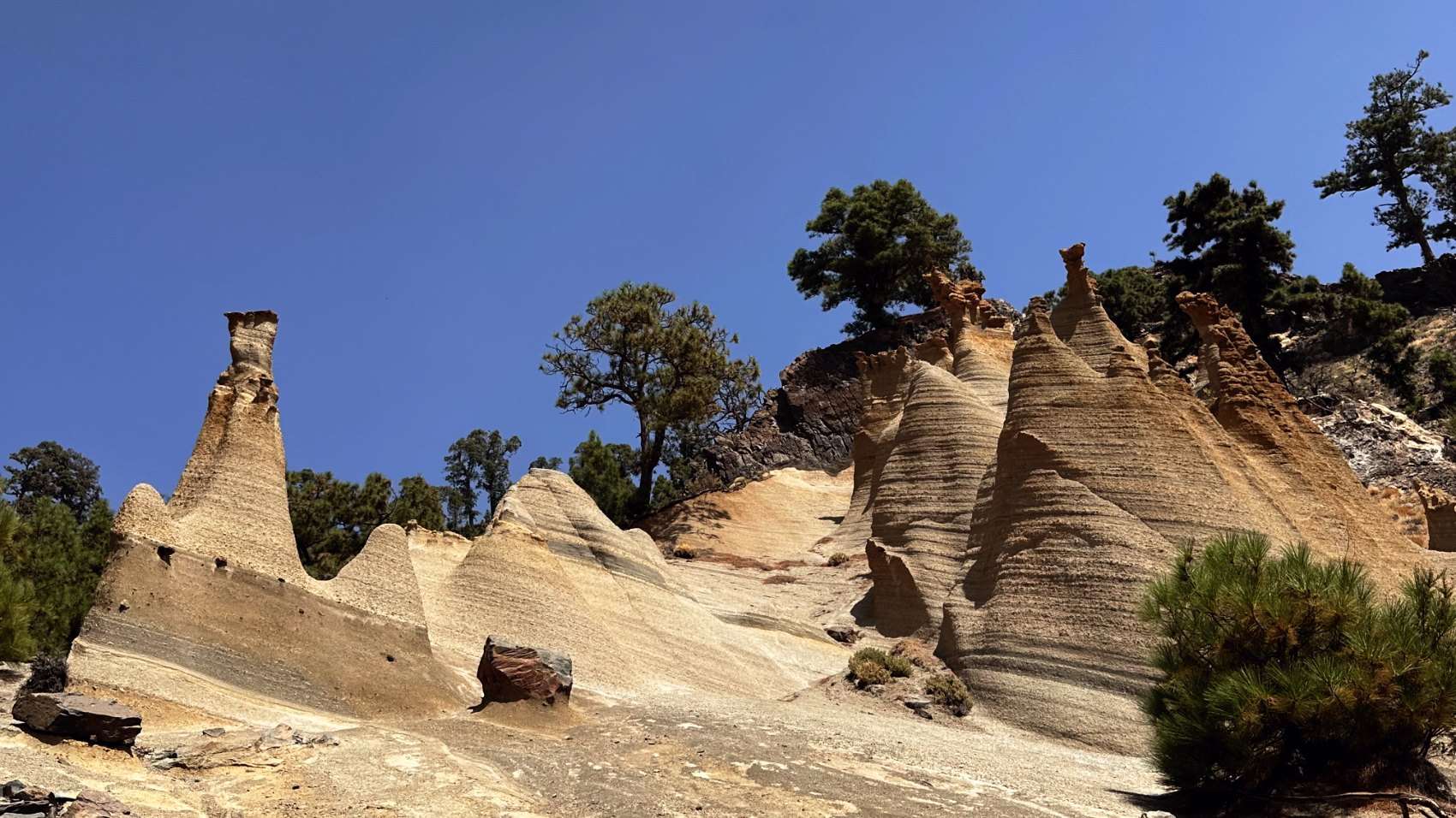 Pale banded volcanic pinnacles capped with harder rock, Canary pines growing above them.