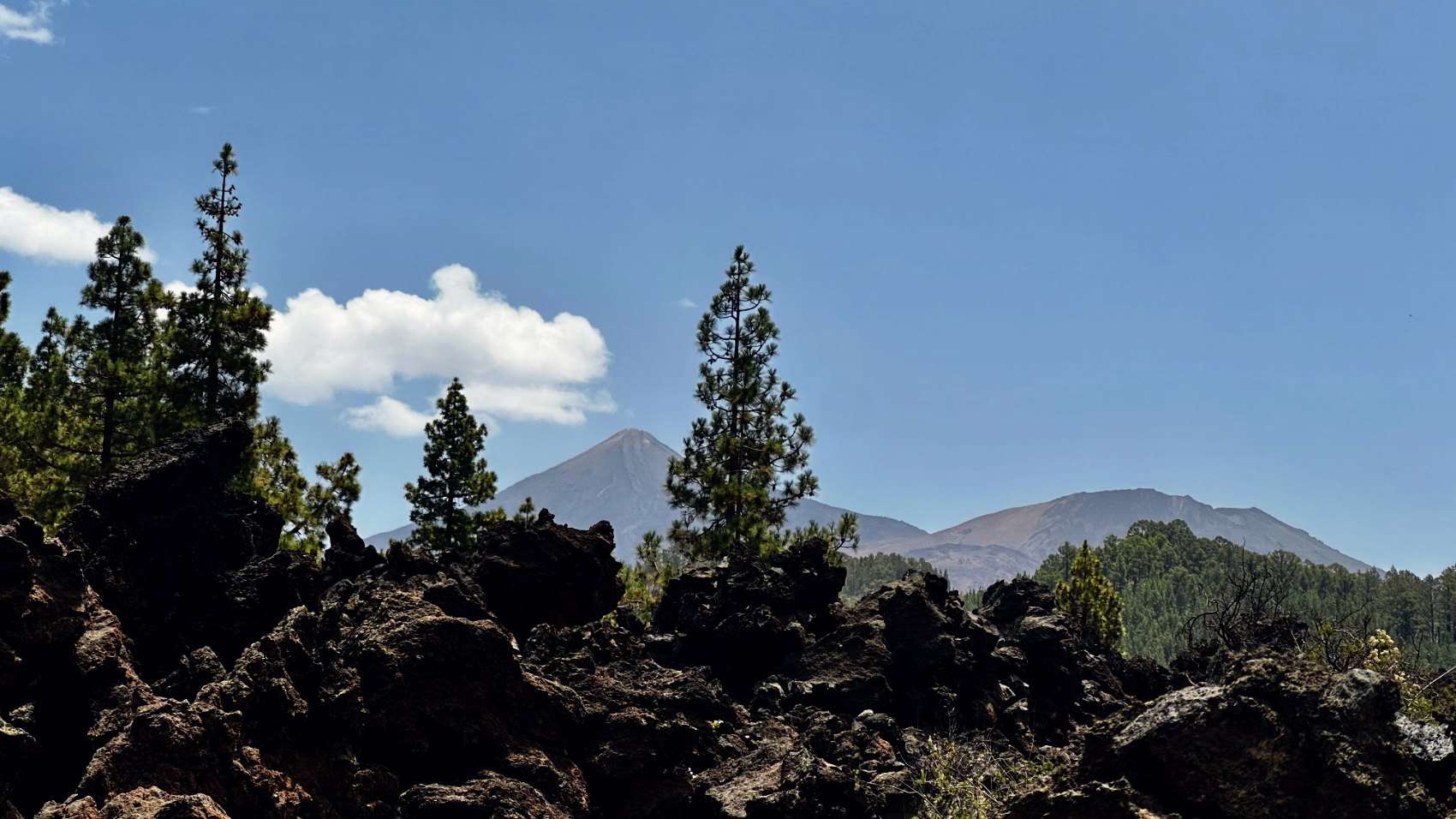 Black lava blocks and Canary pines in the foreground with the cone of Teide beyond.